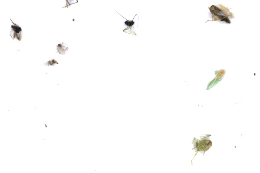 Image 10